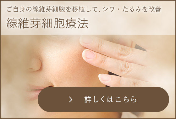 線維芽細胞療法