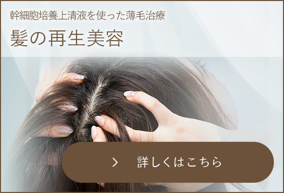 髪の再生美容
