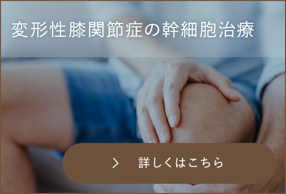 変形性膝関節症の幹細胞治療