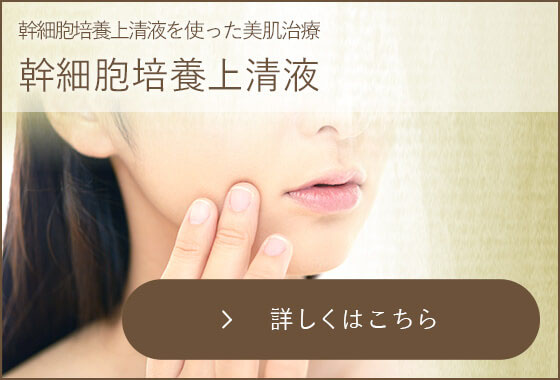 幹細胞セクレトームエキス