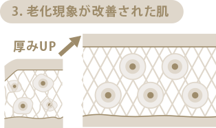 3.加齢症状が改善