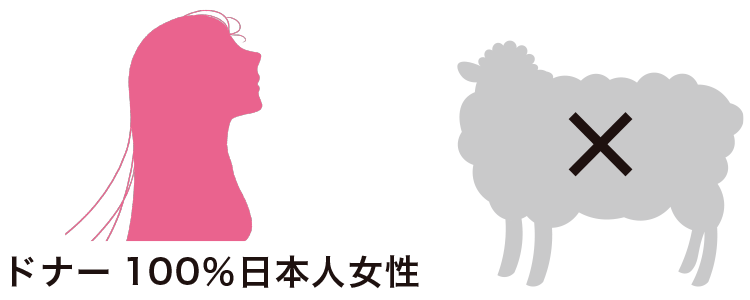 ドナーは100％日本人女性