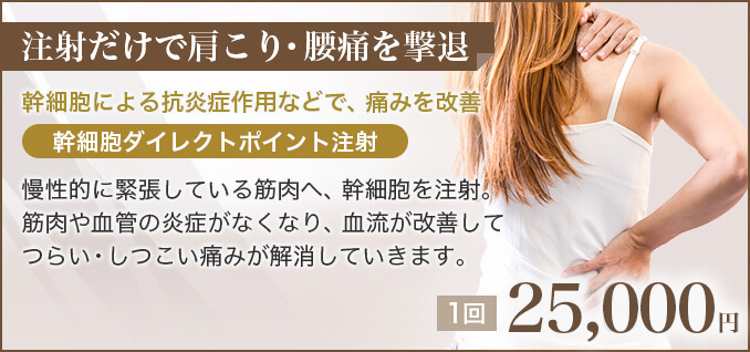 肩こり・腰痛治療