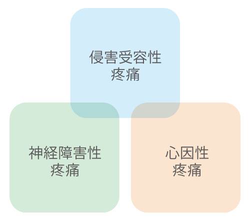 慢性疼痛の3つの要因