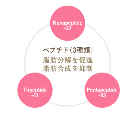 プロストロレーン インナーB